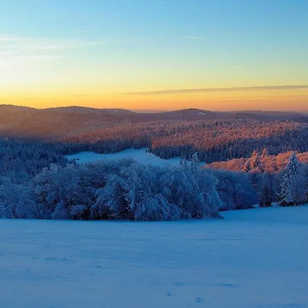 La Ferme Du Douanier & 5 Etoiles Alpstuga Ventron