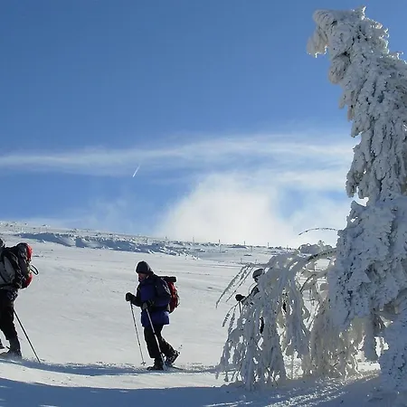 シャレー La Ferme Du Douanier & 5 Etoiles *