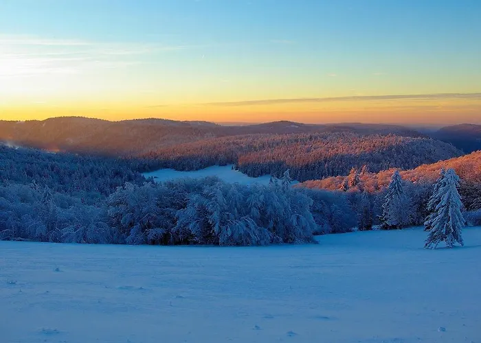 La Ferme Du Douanier & 5 Etoiles Horská chata Ventron