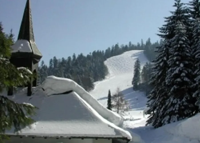 La Ferme Du Douanier & 5 Etoiles * Ventron