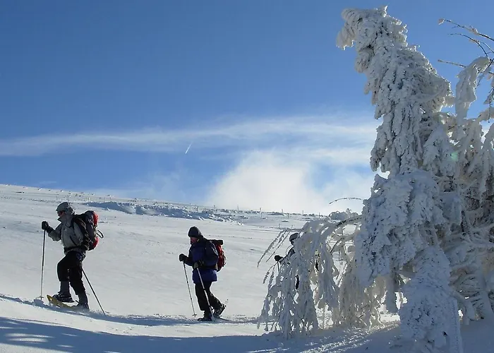 Horská chata La Ferme Du Douanier & 5 Etoiles *