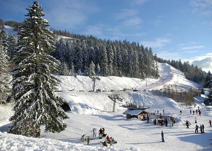 La Ferme Du Douanier & 5 Etoiles Ventron